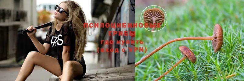 что такое наркотик  кракен как войти  Галлюциногенные грибы Magic Shrooms  Белинский 